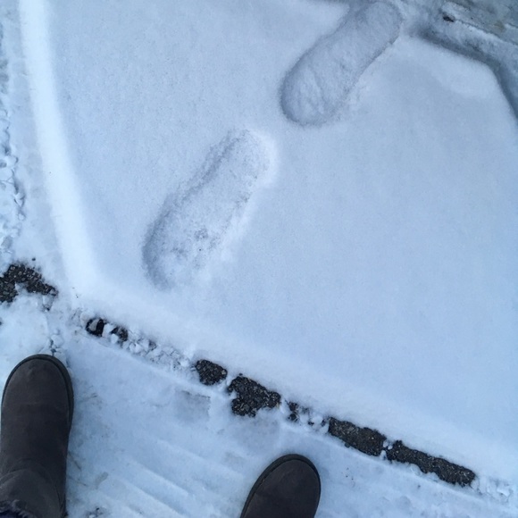 Meet your Posher, Xamira - Picture 1 of 1